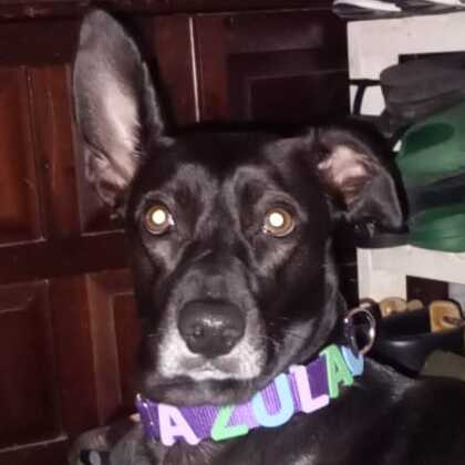 Dueña de Azula