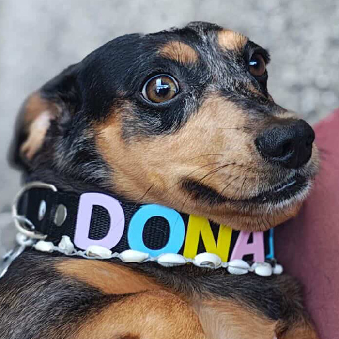 Dueña de Dona